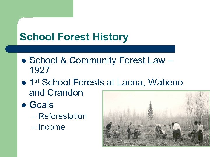 School Forest History School & Community Forest Law – 1927 l 1 st School