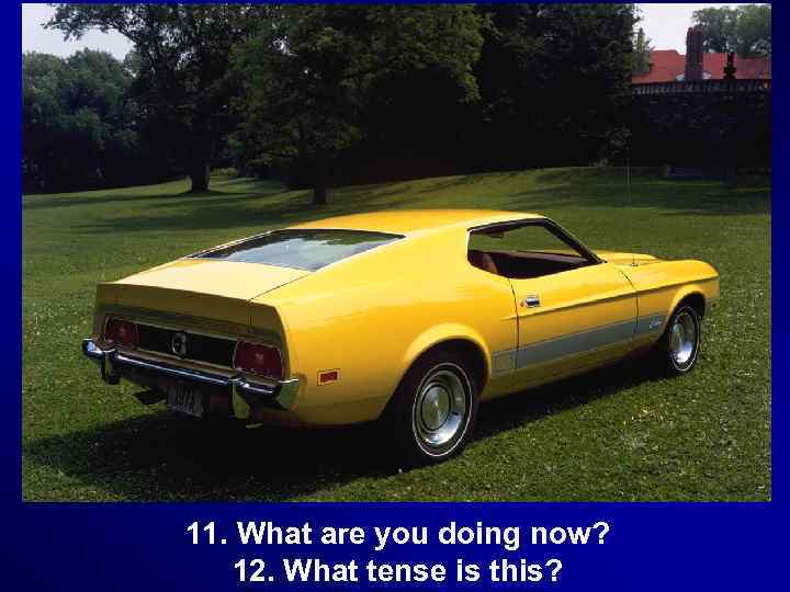 11. What are you doing now? 12. What tense is this? 