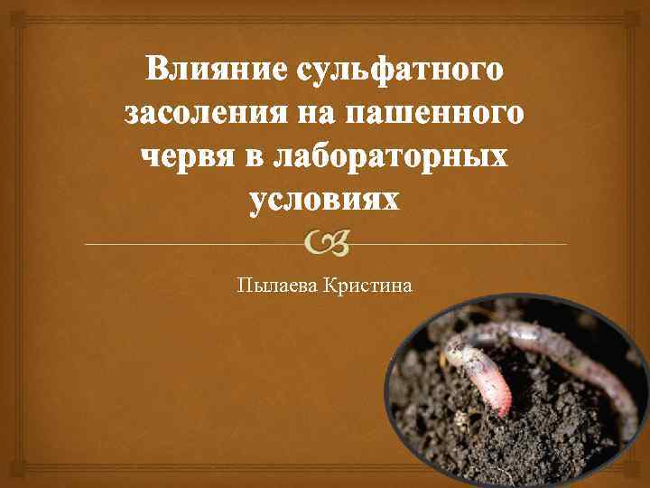 Влияние сульфатного засоления на пашенного червя в лабораторных условиях Пылаева Кристина 