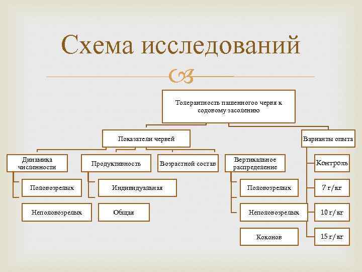 Схема исследований Толерантность пашенногоо червя к содовому засолению Показатели червей Динамика численности Продуктивность Возрастной