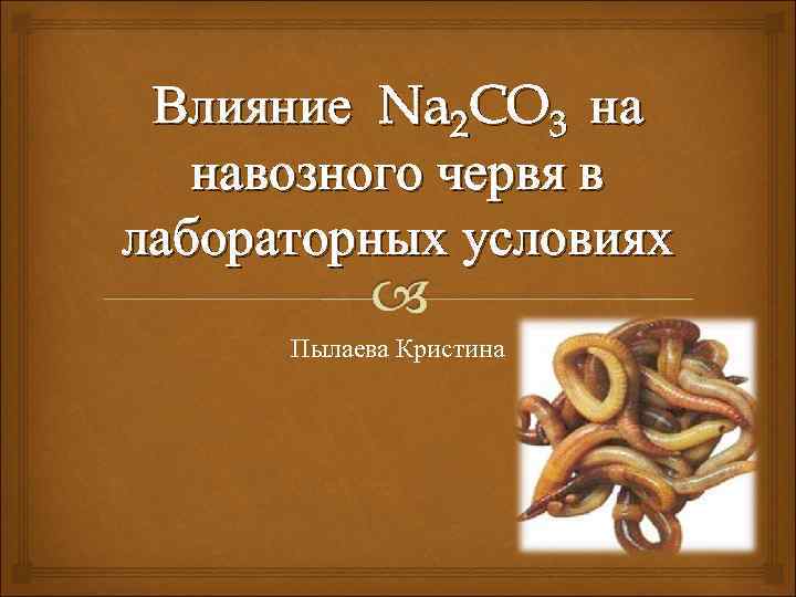 Влияние Na 2 CO 3 на навозного червя в лабораторных условиях Пылаева Кристина 