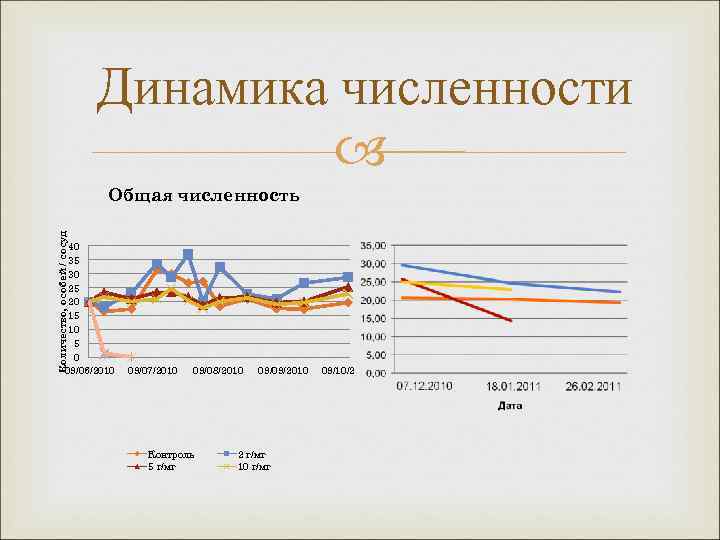 Динамика численности Количество, особей / сосуд Общая численность 40 35 30 25 20 15