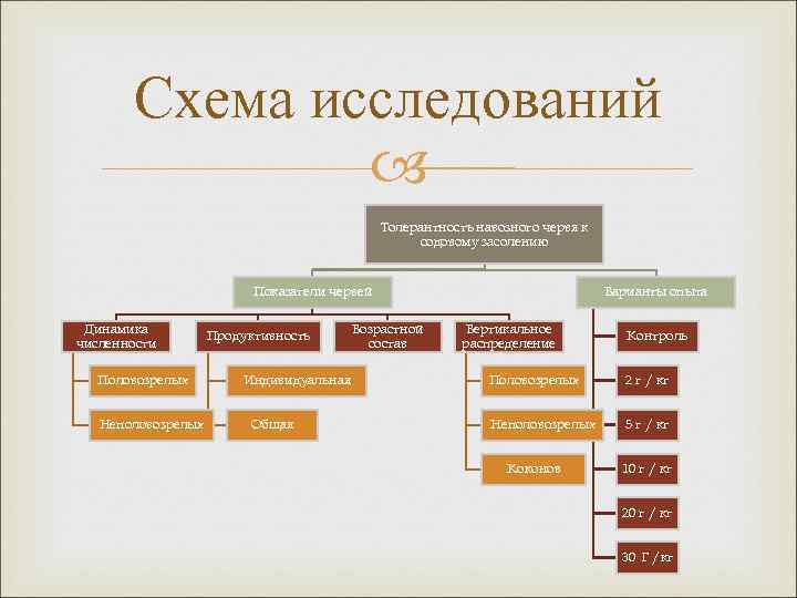 Схема исследований Толерантность навозного червя к содовому засолению Показатели червей Динамика численности Половозрелых Неполовозрелых