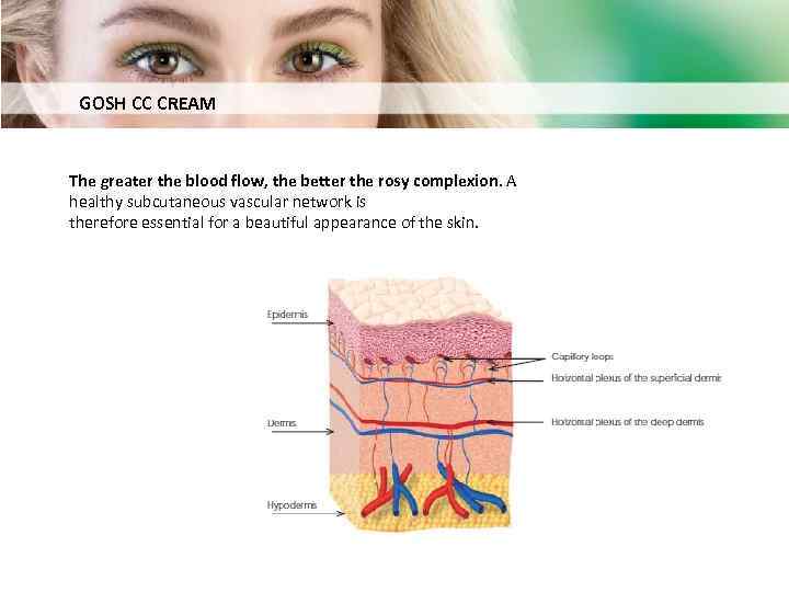 GOSH CC CREAM The greater the blood flow, the better the rosy complexion. A