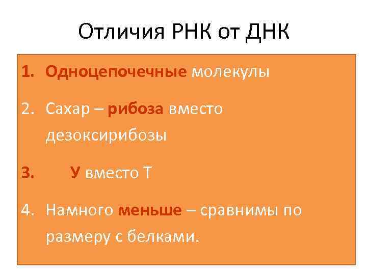 Отличия РНК от ДНК 1. Одноцепочечные молекулы 2. Сахар – рибоза вместо дезоксирибозы 3.