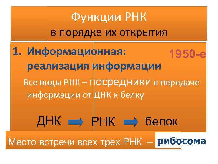 Функции РНК в порядке их открытия 1. Информационная: 1950 -e реализация информации Все виды