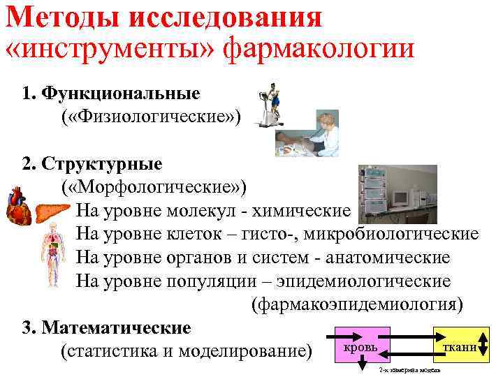 Методы исследования «инструменты» фармакологии 1. Функциональные ( «Физиологические» ) 2. Структурные ( «Морфологические» )