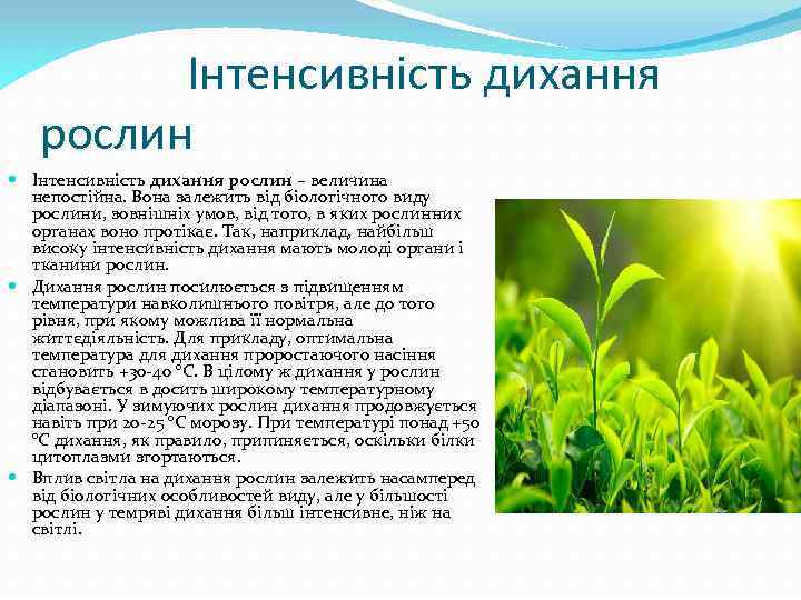 Інтенсивність дихання рослин – величина непостійна. Вона залежить від біологічного виду рослини, зовнішніх умов,