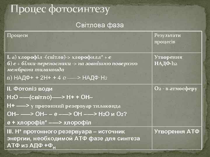 Процес фотосинтезу Світлова фаза Процеси Результати процесів I. а) хлорофіл -(світло)-> хлорофилл* + e