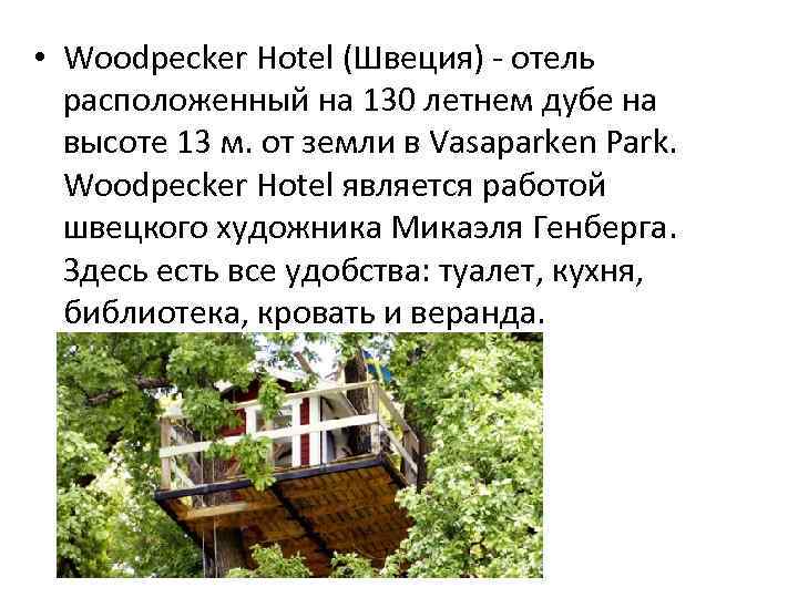  • Woodpecker Hotel (Швеция) - отель расположенный на 130 летнем дубе на высоте