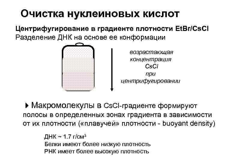 Очистка нуклеиновых кислот Центрифугирование в градиенте плотности Et. Br/Cs. Cl Разделение ДНК на основе