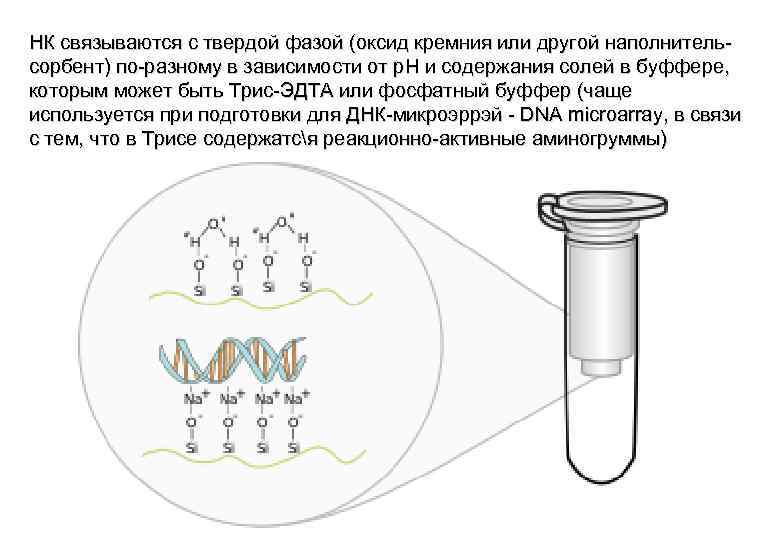 НК связываются с твердой фазой (оксид кремния или другой наполнительсорбент) по-разному в зависимости от
