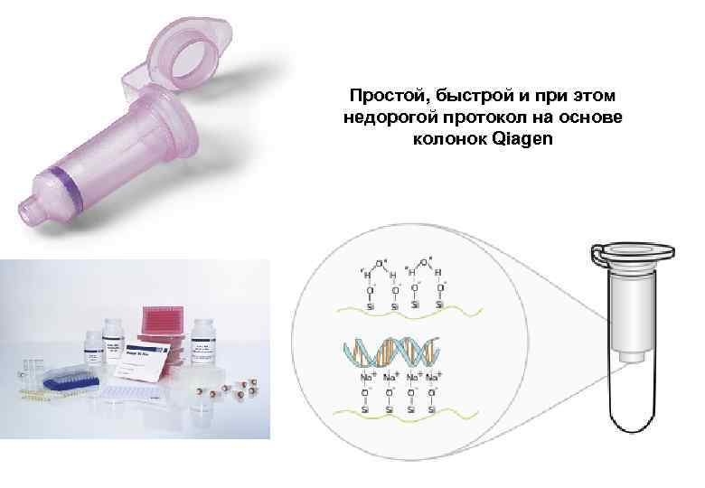 Простой, быстрой и при этом недорогой протокол на основе колонок Qiagen 
