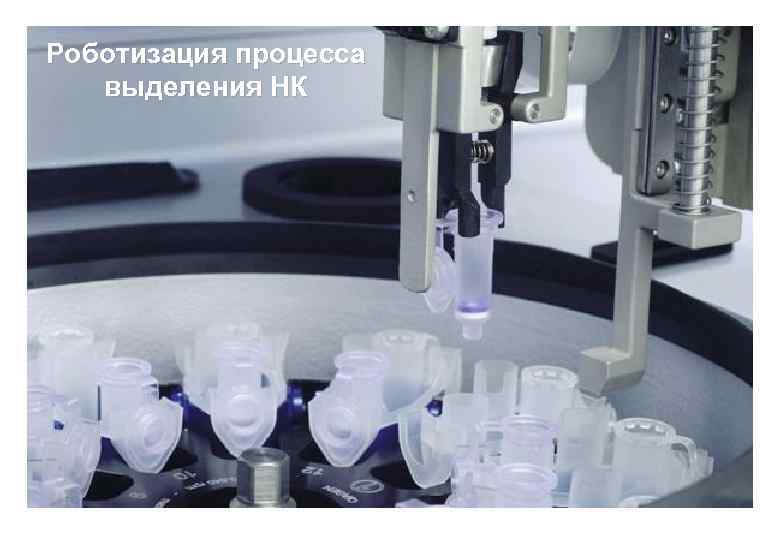 Роботизация процесса выделения НК 