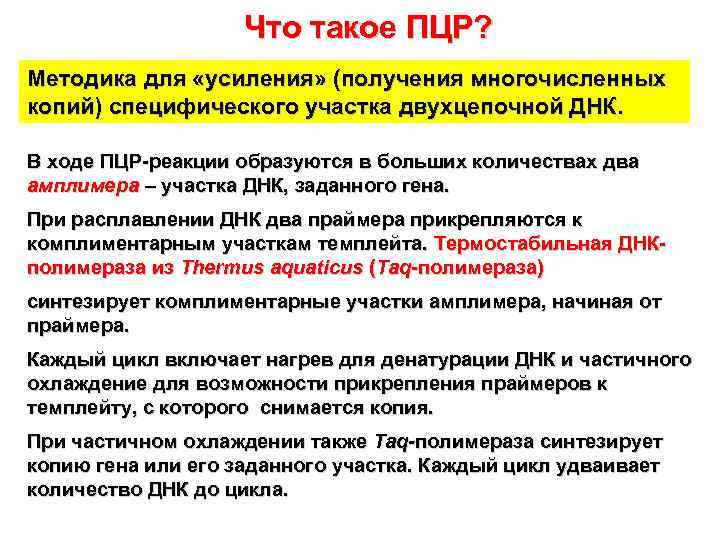 Что такое ПЦР? Методика для «усиления» (получения многочисленных копий) специфического участка двухцепочной ДНК. В