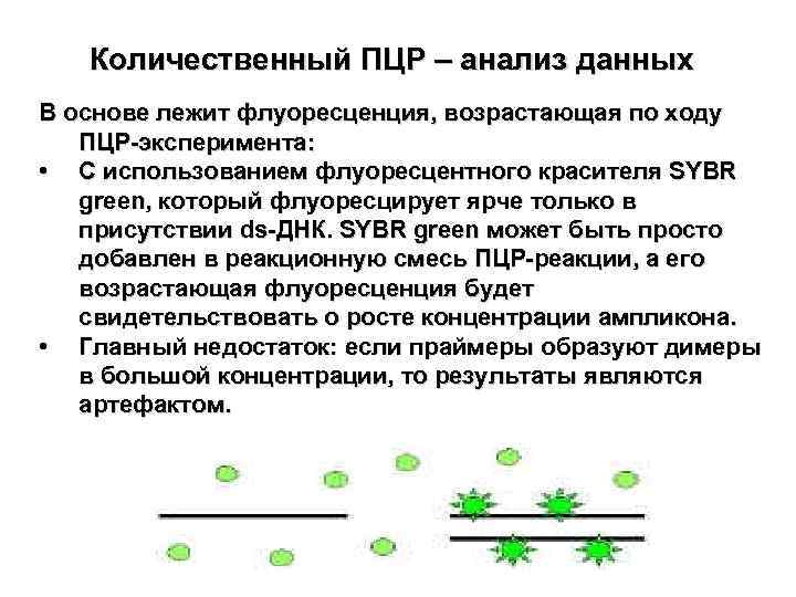 Количественный ПЦР – анализ данных В основе лежит флуоресценция, возрастающая по ходу ПЦР-эксперимента: •