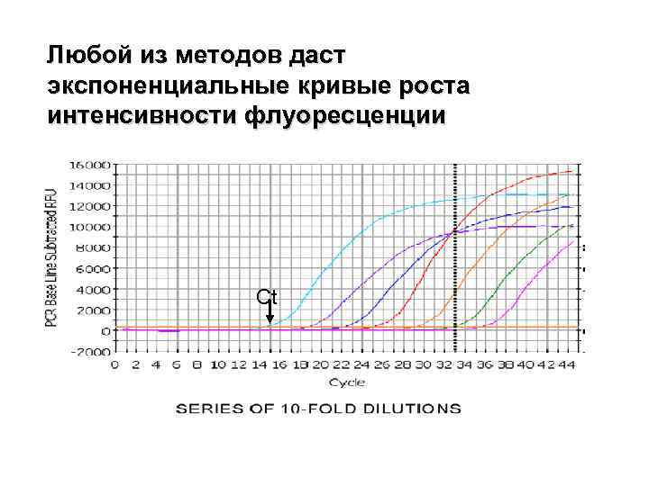 Любой из методов даст экспоненциальные кривые роста интенсивности флуоресценции Ct 