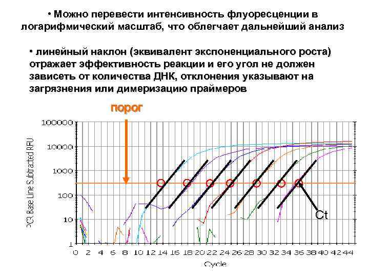  • Можно перевести интенсивность флуоресценции в логарифмический масштаб, что облегчает дальнейший анализ •