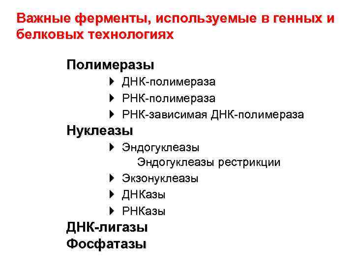 Важные ферменты, используемые в генных и белковых технологиях Полимеразы ДНК-полимераза РНК-зависимая ДНК-полимераза Нуклеазы Эндогуклеазы