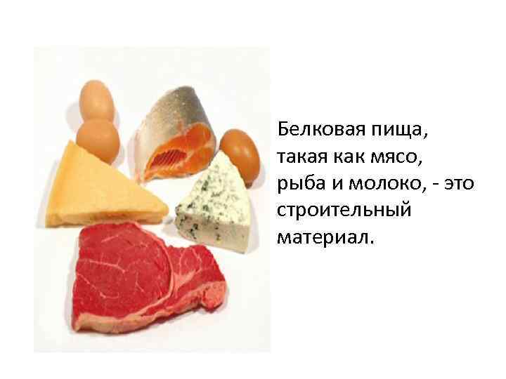  • Белковая пища, такая как мясо, рыба и молоко, - это строительный материал.