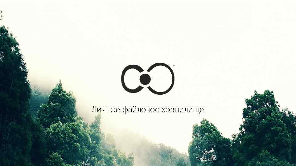 Личное файловое хранилище 