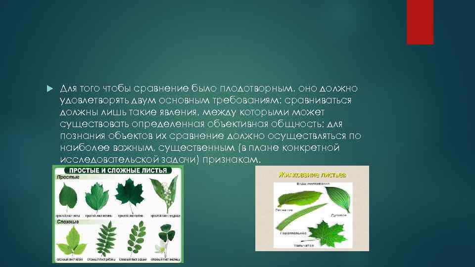  Для того чтобы сравнение было плодотворным, оно должно удовлетворять двум основным требованиям: сравниваться