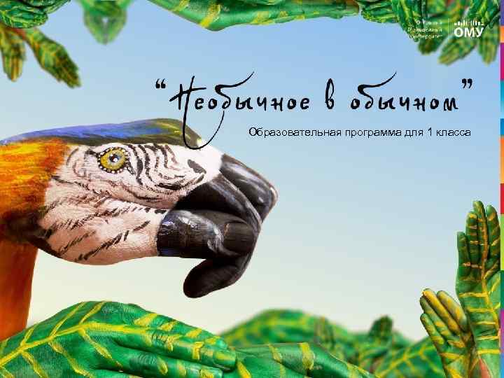 Образовательная программа для 1 класса 