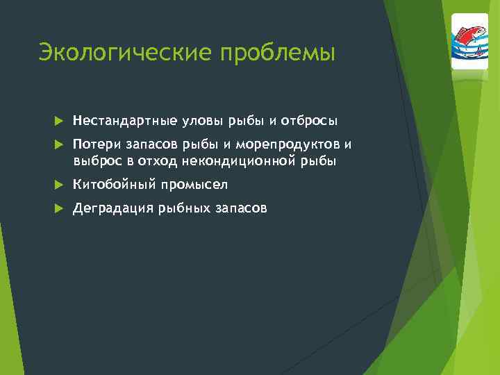Экологические проблемы Нестандартные уловы рыбы и отбросы Потери запасов рыбы и морепродуктов и выброс