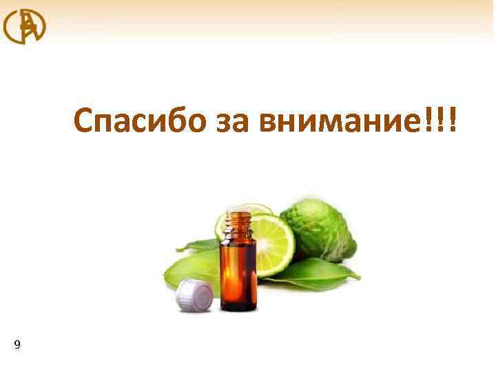 Спасибо за внимание!!! 9 