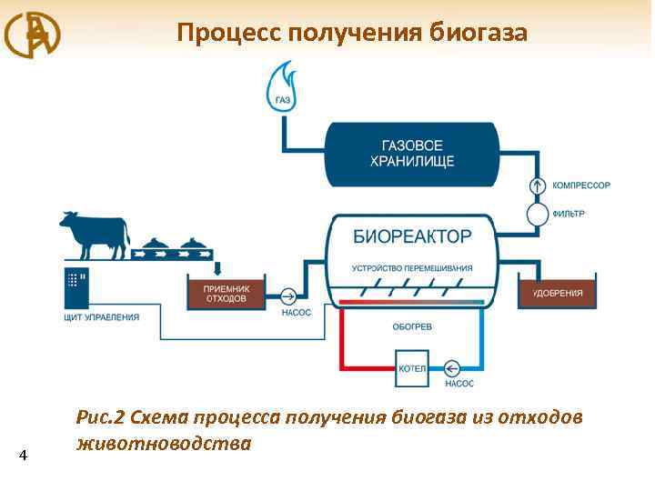 Процесс получения биогаза 4 Рис. 2 Схема процесса получения биогаза из отходов животноводства 