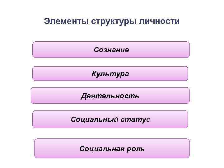 Элементы структуры личности Сознание Культура Деятельность Социальный статус Социальная роль 