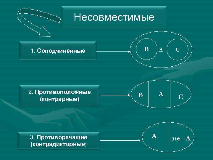 Несовместимые В 1. Соподчиненные 2. Противоположные (контрарные) 3. Противоречащие (контрадикторные) А А В А