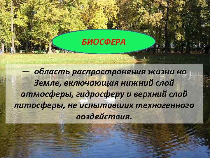 БИОСФЕРА — область распространения жизни на Земле, включающая нижний слой атмосферы, гидросферу и верхний