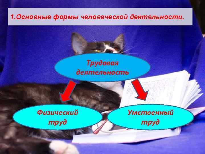 1. Основные формы человеческой деятельности. Трудовая деятельность Физический труд Умственный труд 