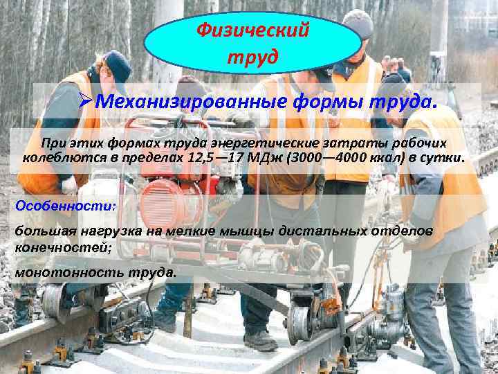 Физический труд ØМеханизированные формы труда. При этих формах труда энергетические затраты рабочих колеблются в