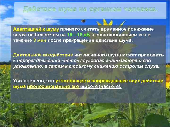 Адаптацией к шуму принято считать временное понижение слуха не более чем на 10— 15