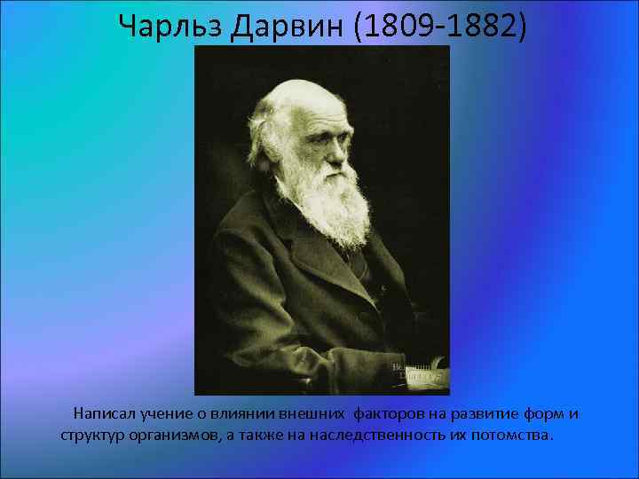 Вклад ученых в развитии анатомии. История развития анатомии и физиологии человека кратко.