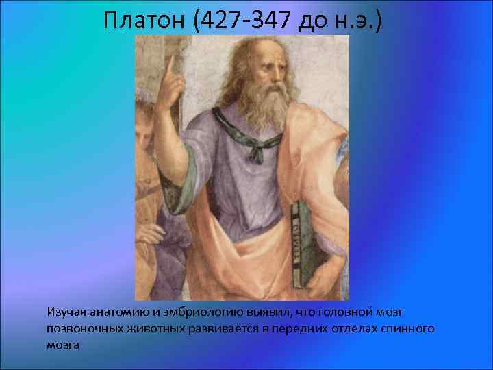 Платон открытия. Платон (427- 347 до н.э.). Вклад Платона. Вклад Платона в анатомию.