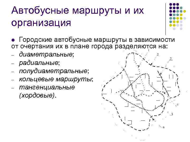 Автобусные маршруты и их организация Городские автобусные маршруты в зависимости от очертания их в