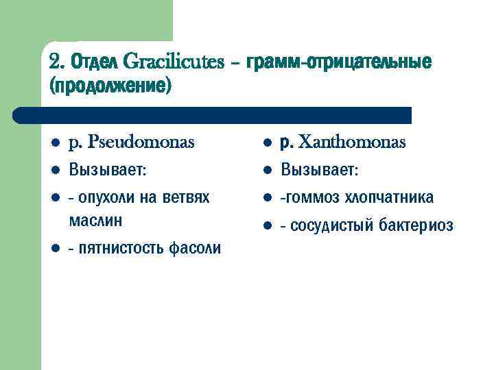 Грамм отрицательные. Отдел Gracilicutes. Отдел firmicutes представители. Отдел Gracilicutes основные представители. Gracilicutes микробиология.