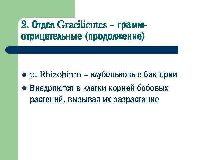 2. Отдел Gracilicutes – граммотрицательные (продолжение) p. Rhizobium – клубеньковые бактерии l Внедряются в
