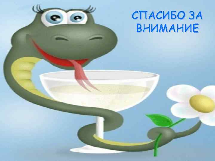 СПАСИБО ЗА ВНИМАНИЕ 81 