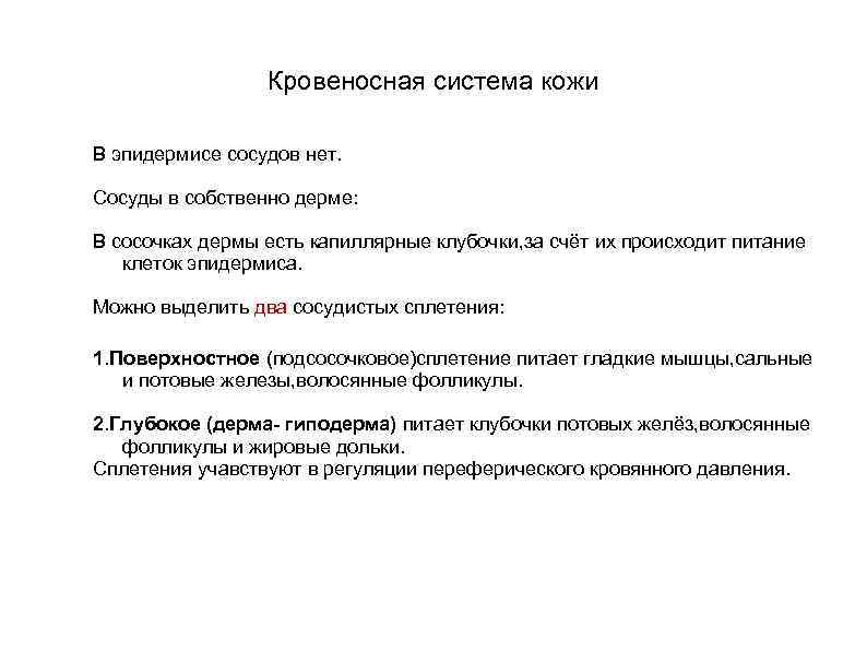 Кровеносная система кожи В эпидермисе сосудов нет. Сосуды в собственно дерме: В сосочках дермы