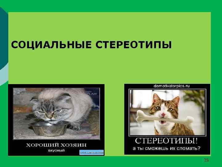 СОЦИАЛЬНЫЕ СТЕРЕОТИПЫ 23 