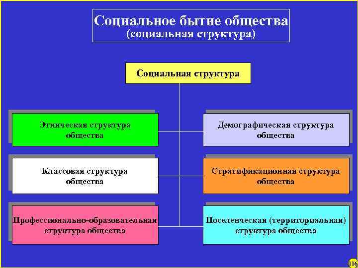 Социальное бытие общества (социальная структура) Социальная структура Этническая структура общества Демографическая структура общества Классовая