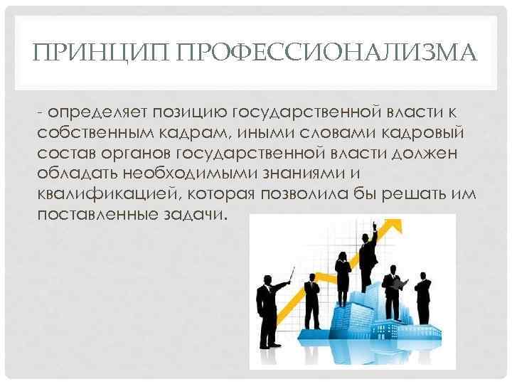 ПРИНЦИП ПРОФЕССИОНАЛИЗМА - определяет позицию государственной власти к собственным кадрам, иными словами кадровый состав