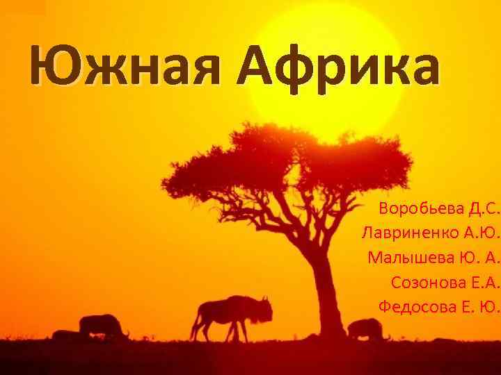 Южная Африка Воробьева Д. С. Лавриненко А. Ю. Малышева Ю. А. Созонова Е. А.