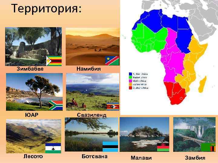 Территория: Зимбабве ЮАР Лесото Намибия Свазиленд Ботсвана Малави Замбия 
