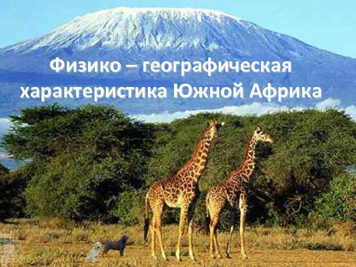 Физико – географическая характеристика Южной Африка 