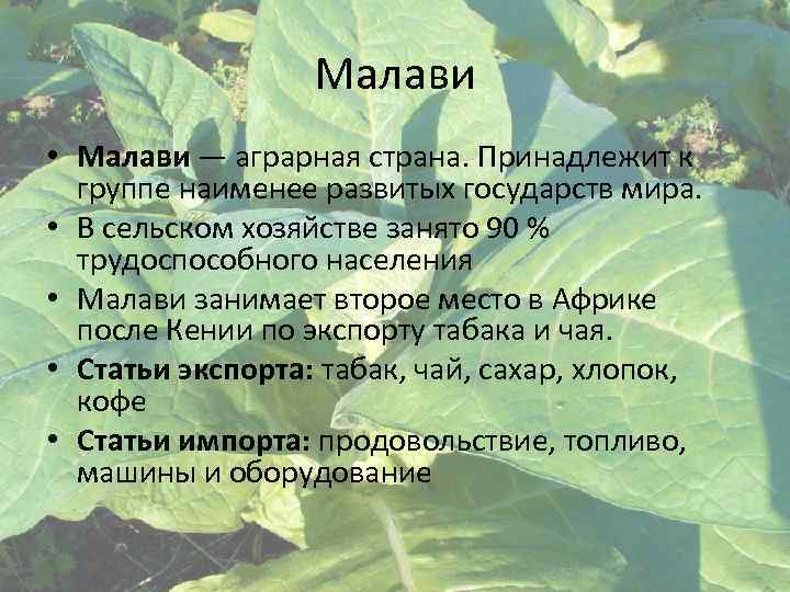 Малави • Малави — аграрная страна. Принадлежит к группе наименее развитых государств мира. •